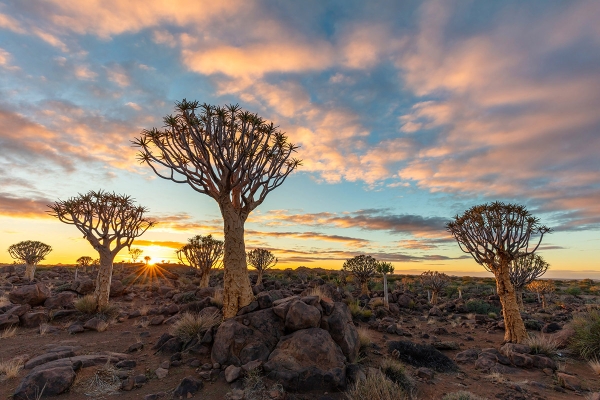 Namibia