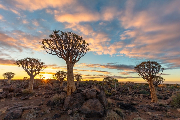 Namibia