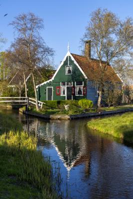 Tulip fields of Holland photo workshop 1