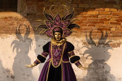 Venice Carnival 1