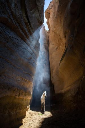 White horse in a chasm, Turkey