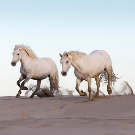 On the beach