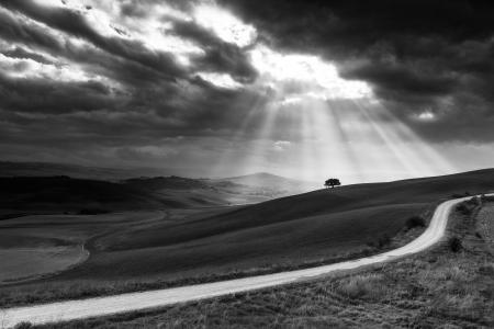 Suns rays behind a solitary tree in the Orcia Valley, Italy