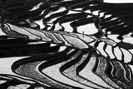 A man walks on the rice terraces, Yuanyang, Hunnan, china