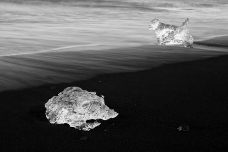 Blocks of ice on the black sand of Jökulsárlón, Iceland