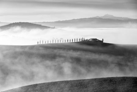 A backlit house and cypress trees in the mist, Val d’Orcia, Tuscany, Italy