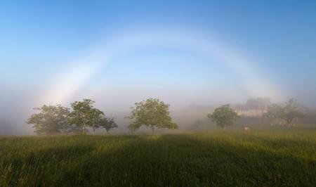 A fogbow, Curemonte, France