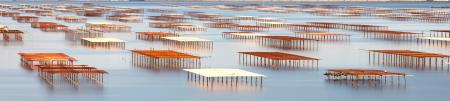 Oyster tables on the lagoon of Thau, Bouzigues; Herault, France