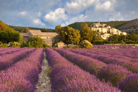 Banon, Provence