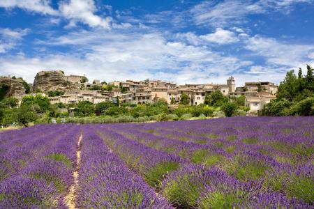 Lavender field & Saignon, Provence, France