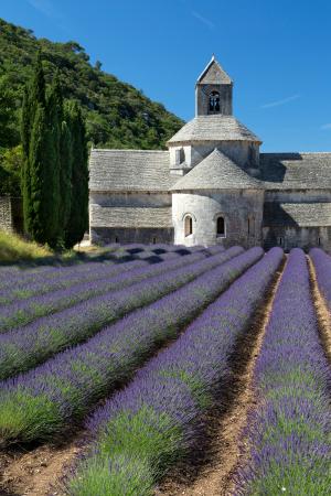 Abbaie de Senanque, Provence, France