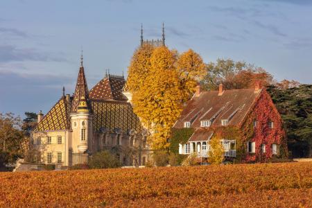 Aloxe Corton, Chateau Corton-Andre, Burgundy