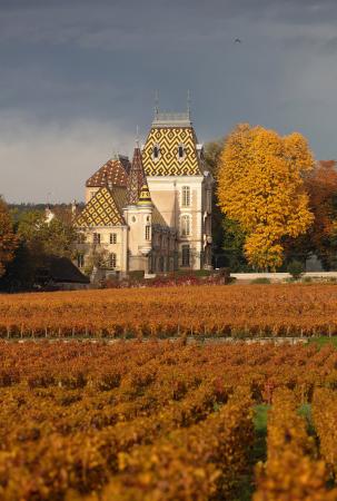  Chateau Corton-Andre in the autumn, Beaune, Burgundy, France