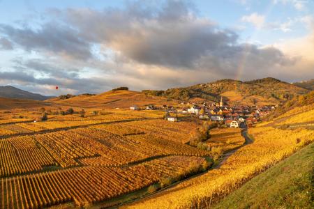 Ammerschwihr & vineyards in the autumn with a rainbow, Alsace, France