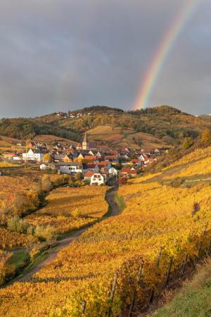 Ammerschwihr village and vineyards in the autumn with a rainbow, Alsace