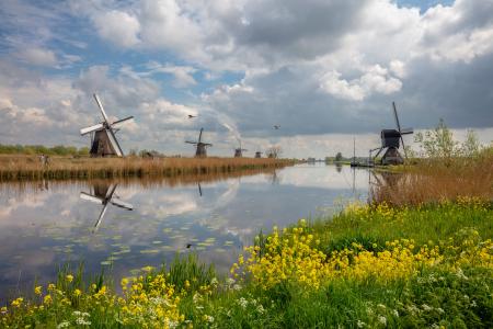 Kinderdijk windmills in the Spring