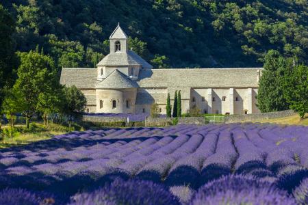 Abbaie de Senanque, Provence