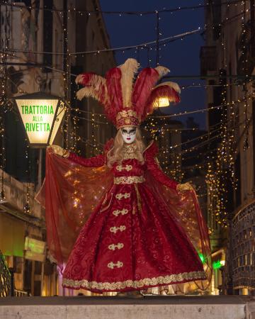 In the lights at the Venice Carnival