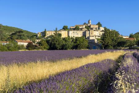 Banon & lavender field, Provence