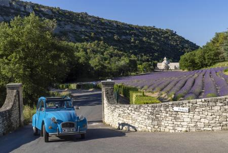 2CV at the Abbaie de Senanque, Provence