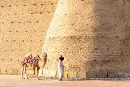 The camel driver, Bukhara, Uzbekistan
