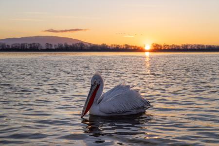 Alone at sunrise