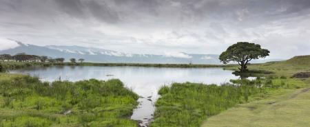 Ngorongoro