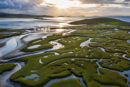 Wetlands