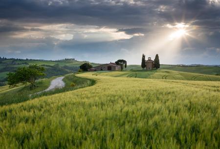 Rays of hope