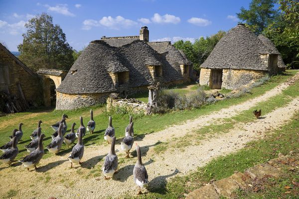 Périgord 2024