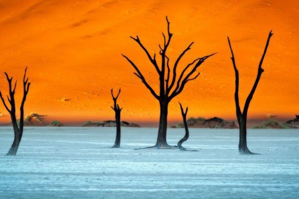 Namibia Photography Tour