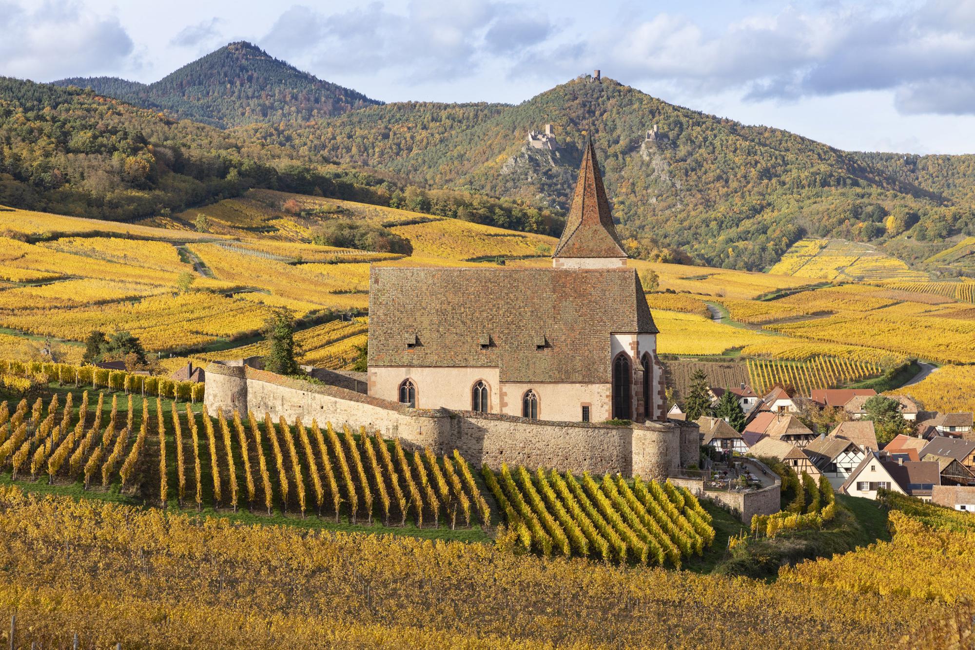 Alsace villages & landscape photography workshop