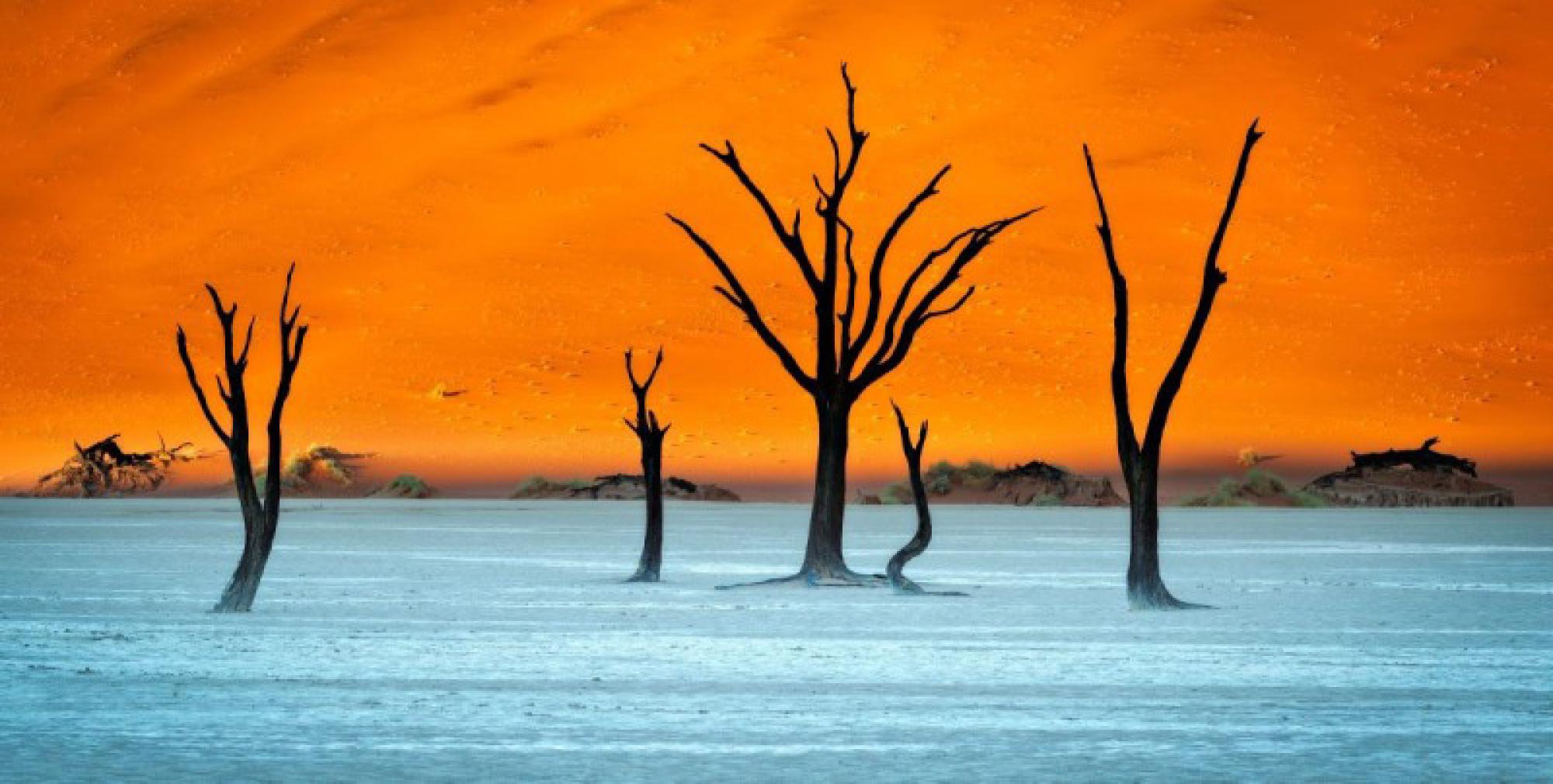 Namibia Photography Tour