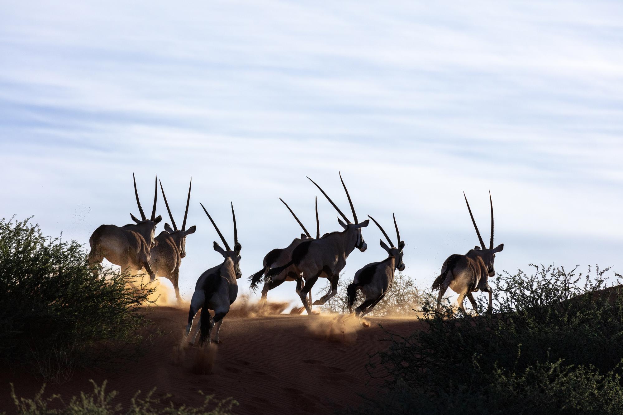 Namibia Photography Tour